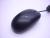 Мышь Genius NetScroll 100X 