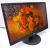 Монитор 23.6" AOC e2470Swhe