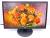 Монитор 23.6" AOC e2470Swhe