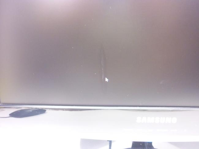 Монитор 19" Samsung SyncMaster B1930NW царапинка на матрице