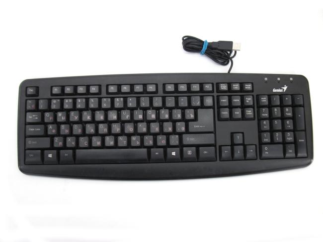 Клавиатура USB Genius GX-100011 (KB-110X)