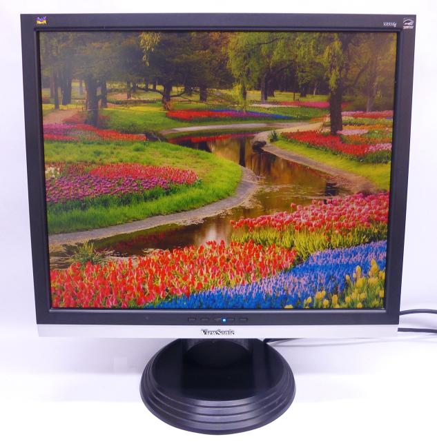 Монитор 19" Viewsonic VA916g
